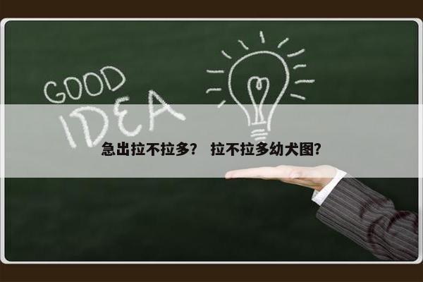 急出拉不拉多？ 拉不拉多幼犬图？