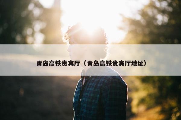 青岛高铁贵宾厅（青岛高铁贵宾厅地址）