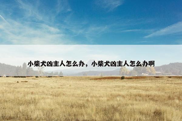 小柴犬凶主人怎么办，小柴犬凶主人怎么办啊