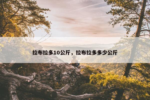 拉布拉多10公斤，拉布拉多多少公斤