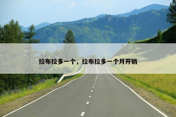 拉布拉多一个，拉布拉多一个月开销