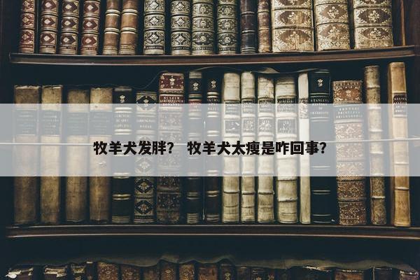 牧羊犬发胖？ 牧羊犬太瘦是咋回事？
