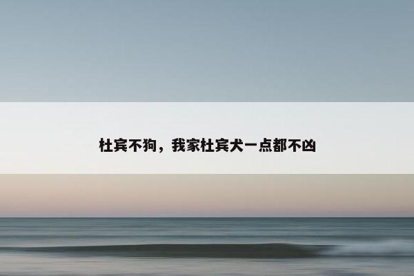 杜宾不狗，我家杜宾犬一点都不凶