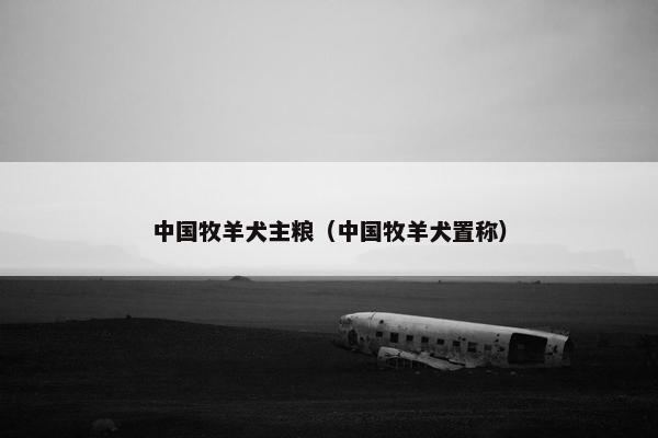 中国牧羊犬主粮（中国牧羊犬置称）