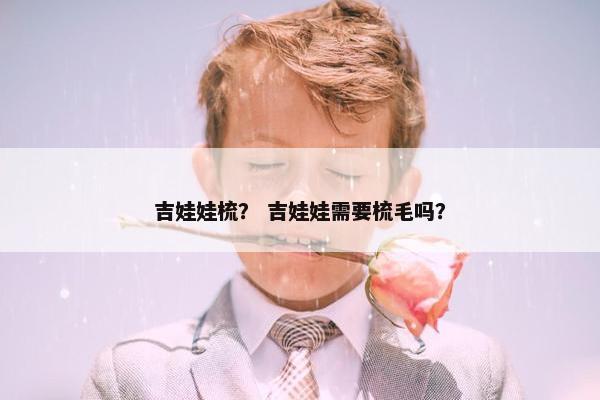 吉娃娃梳？ 吉娃娃需要梳毛吗？