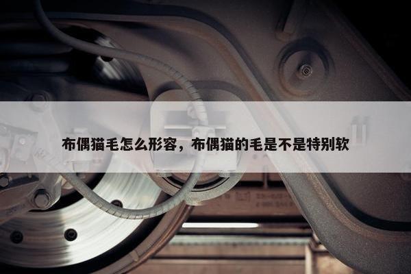 棉质