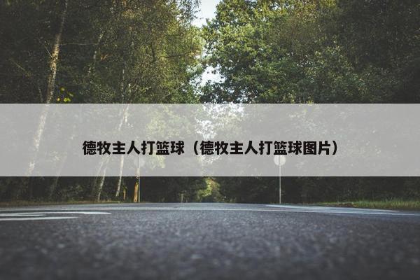 德牧主人打篮球（德牧主人打篮球图片）