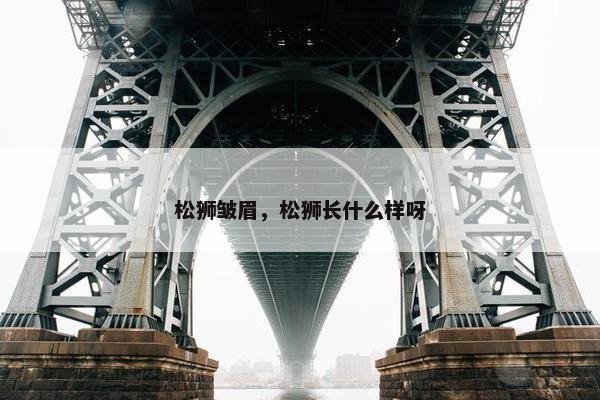 松狮皱眉，松狮长什么样呀
