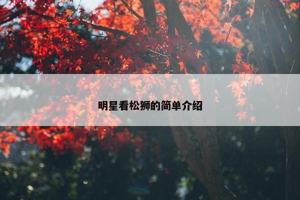 明星看松狮的简单介绍