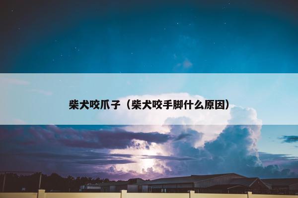 柴犬咬爪子（柴犬咬手脚什么原因）
