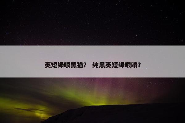英短绿眼黑猫？ 纯黑英短绿眼睛？