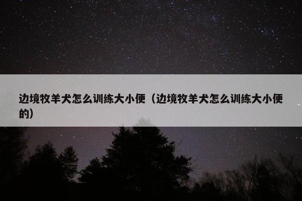 边境牧羊犬怎么训练大小便（边境牧羊犬怎么训练大小便的）