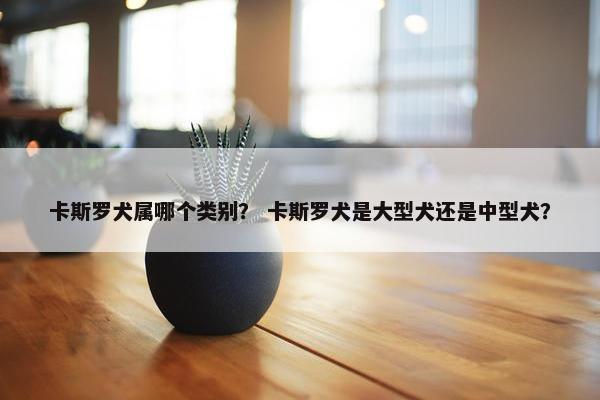 卡斯罗犬属哪个类别？ 卡斯罗犬是大型犬还是中型犬？
