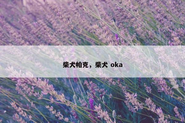 展现