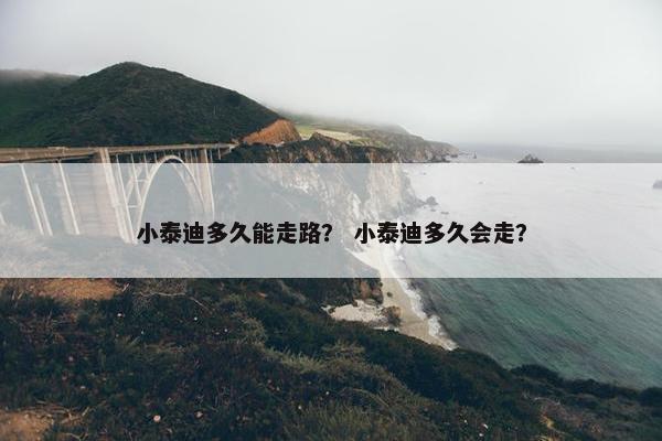 小泰迪多久能走路？ 小泰迪多久会走？