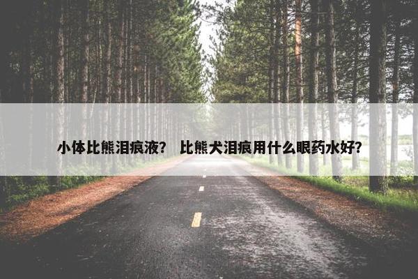 小体比熊泪痕液？ 比熊犬泪痕用什么眼药水好？