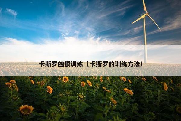 卡斯罗凶狠训练（卡斯罗的训练方法）