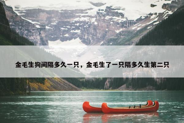 金毛生狗间隔多久一只，金毛生了一只隔多久生第二只