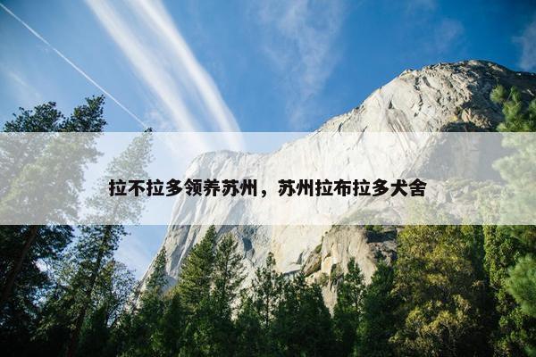 拉不拉多领养苏州，苏州拉布拉多犬舍