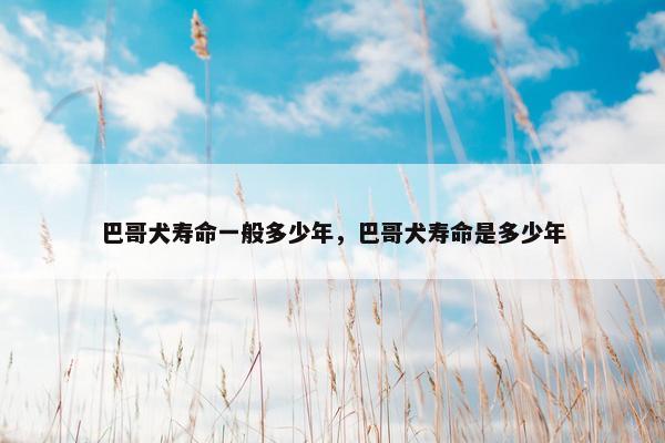 巴哥犬寿命一般多少年，巴哥犬寿命是多少年
