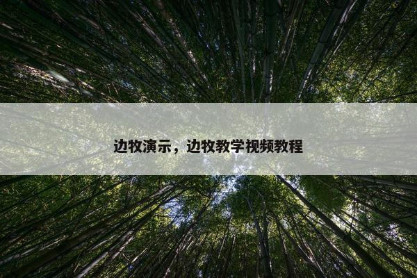 边牧演示，边牧教学视频教程