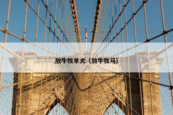 放牛牧羊犬（放牛牧马）