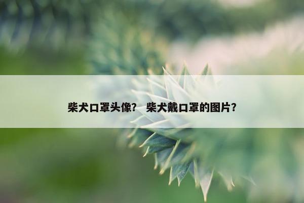 柴犬口罩头像？ 柴犬戴口罩的图片？