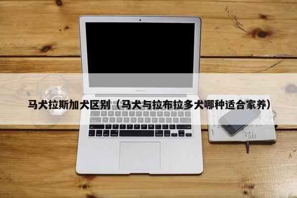 马犬拉斯加犬区别（马犬与拉布拉多犬哪种适合家养）