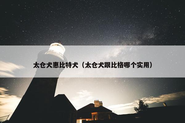 太仓犬惠比特犬（太仓犬跟比格哪个实用）