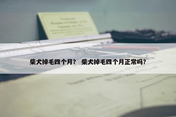 柴犬掉毛四个月？ 柴犬掉毛四个月正常吗？