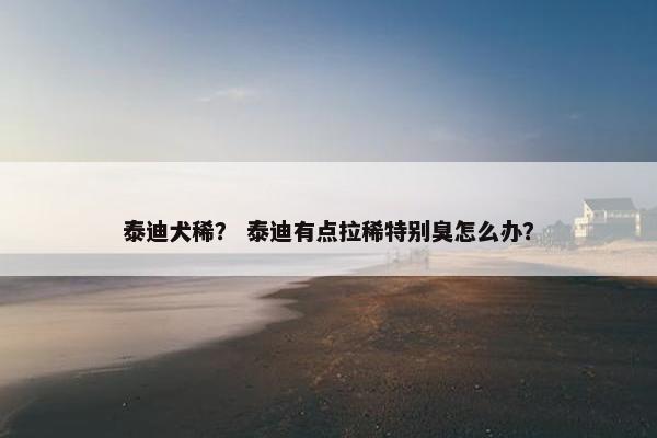 泰迪犬稀？ 泰迪有点拉稀特别臭怎么办？