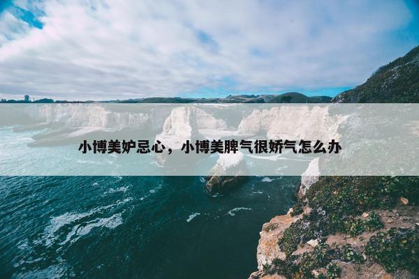 小博美妒忌心，小博美脾气很娇气怎么办