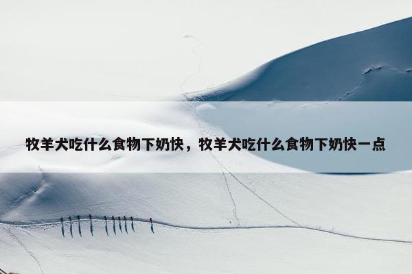 牧羊犬吃什么食物下奶快，牧羊犬吃什么食物下奶快一点