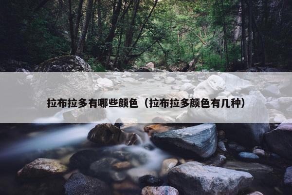 拉布拉多有哪些颜色（拉布拉多颜色有几种）