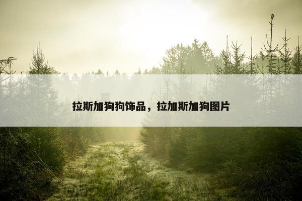 拉斯加狗狗饰品，拉加斯加狗图片