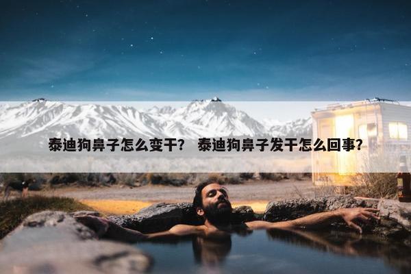 泰迪狗鼻子怎么变干？ 泰迪狗鼻子发干怎么回事？