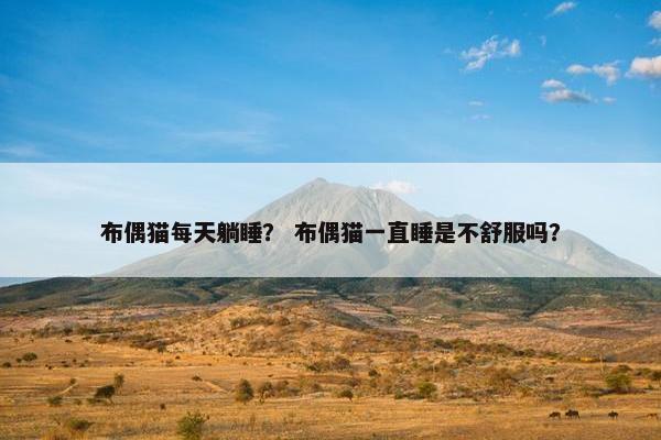布偶猫每天躺睡？ 布偶猫一直睡是不舒服吗？