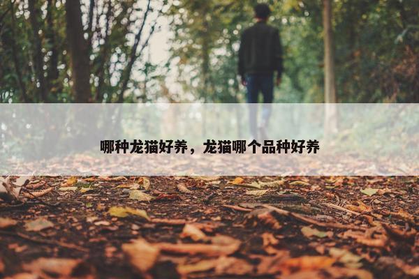 哪种龙猫好养，龙猫哪个品种好养