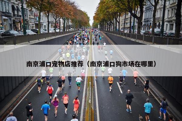 南京浦口宠物店推荐（南京浦口狗市场在哪里）
