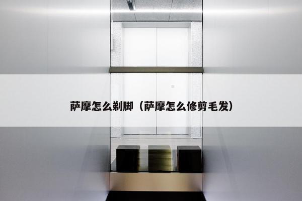 萨摩怎么剃脚（萨摩怎么修剪毛发）