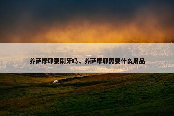 养萨摩耶要刷牙吗，养萨摩耶需要什么用品