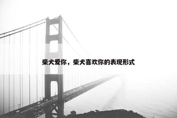 柴犬爱你，柴犬喜欢你的表现形式