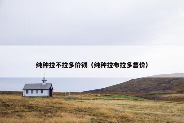 纯种拉不拉多价钱（纯种拉布拉多售价）