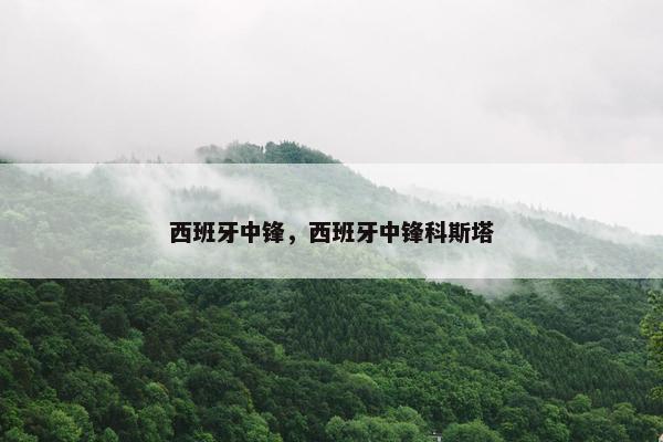 西班牙中锋，西班牙中锋科斯塔
