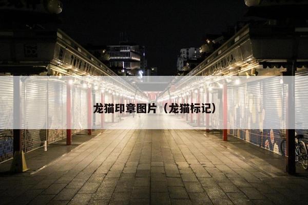 龙猫印章图片（龙猫标记）
