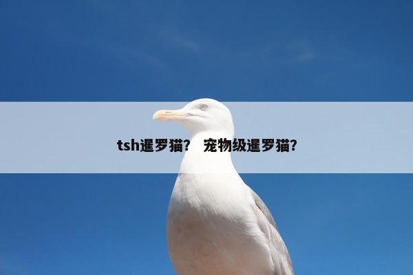 甲状腺