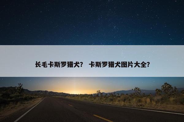 长毛卡斯罗猎犬？ 卡斯罗猎犬图片大全？
