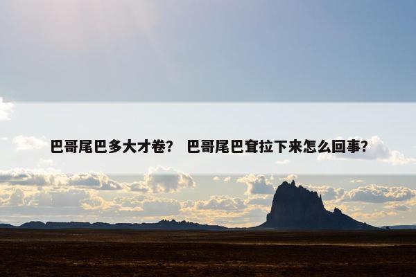 巴哥尾巴多大才卷？ 巴哥尾巴耷拉下来怎么回事？
