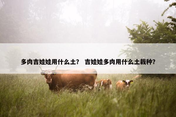 多肉吉娃娃用什么土？ 吉娃娃多肉用什么土栽种？