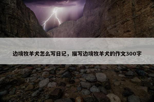 边境牧羊犬怎么写日记，描写边境牧羊犬的作文300字